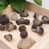 Ágata Panda Beige, Piedra en Bruto