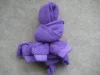 Viola