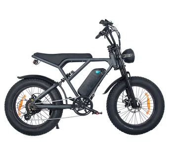 Electric Bike Adults 500w 750w 20'' Mountain E Bike 48v 13ah h9 v8 Lithium-ion Battery Removable Off Road Electric Bicycle Bike