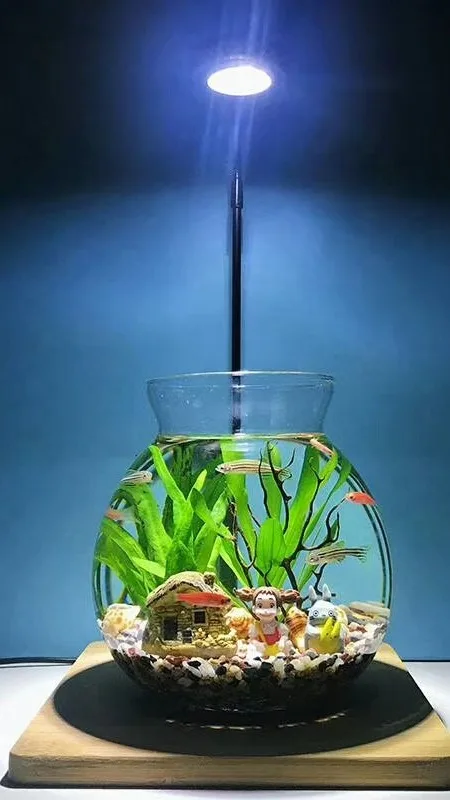 Wholesale Lighting Led Aquarium Fish Tank Light Plant Lamp Planted Vivarium Terrarium Light From m.alibaba.com