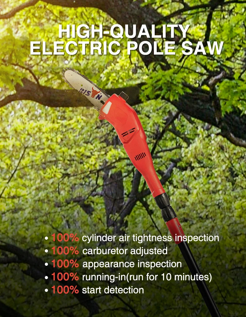 Bison Electric Pole Long Reach Rechargeable Telescopic Chainsaw Manual