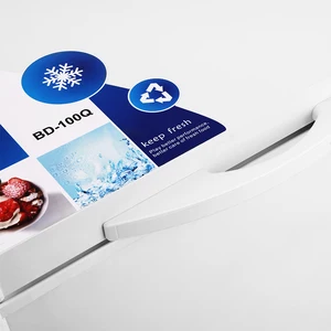 China Factory Anti-Yellowing Everyday Use 110V 60Hz External Condenser Big Size Chest Freezer