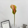 Coeur rose vert