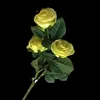 Giallo