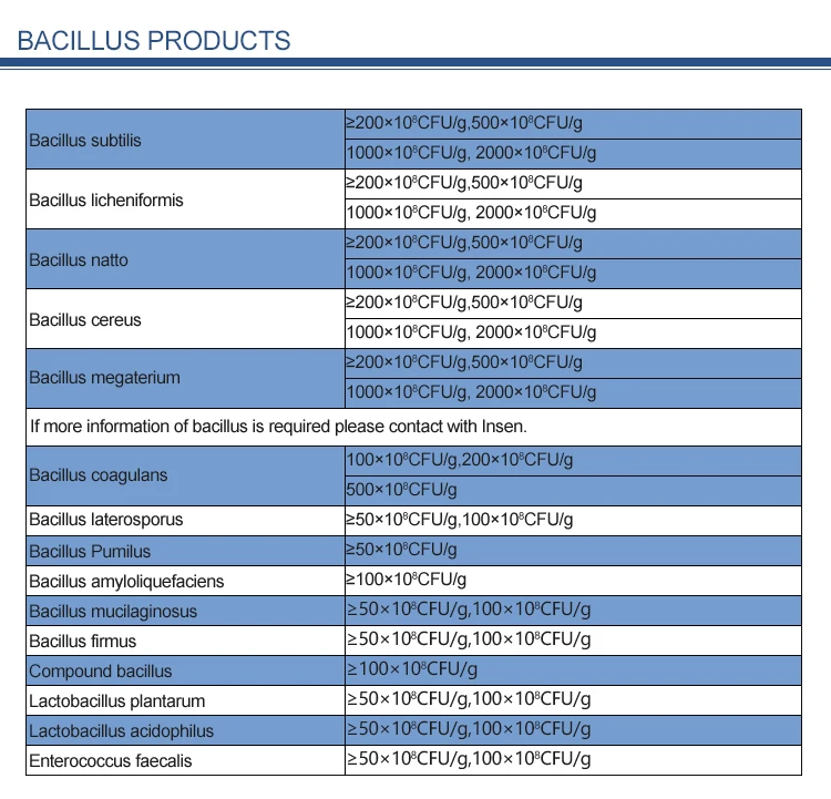 Healthcare Supplement Lactobacillus Bulgaricus Probiotics Lactobacillus Bulgaricus