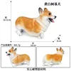 Corgi colorato 894 giallo e bianco