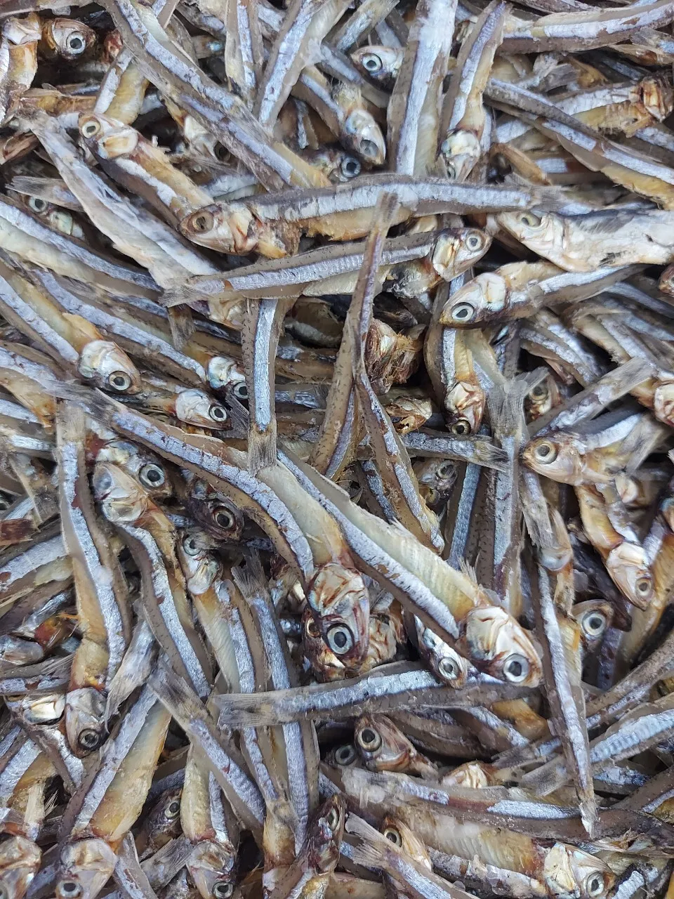 Dried White Anchovy Fish Fillet Packing Bulk Oem Seafood(at)linda(dot