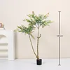 Verde 14 Nandina
