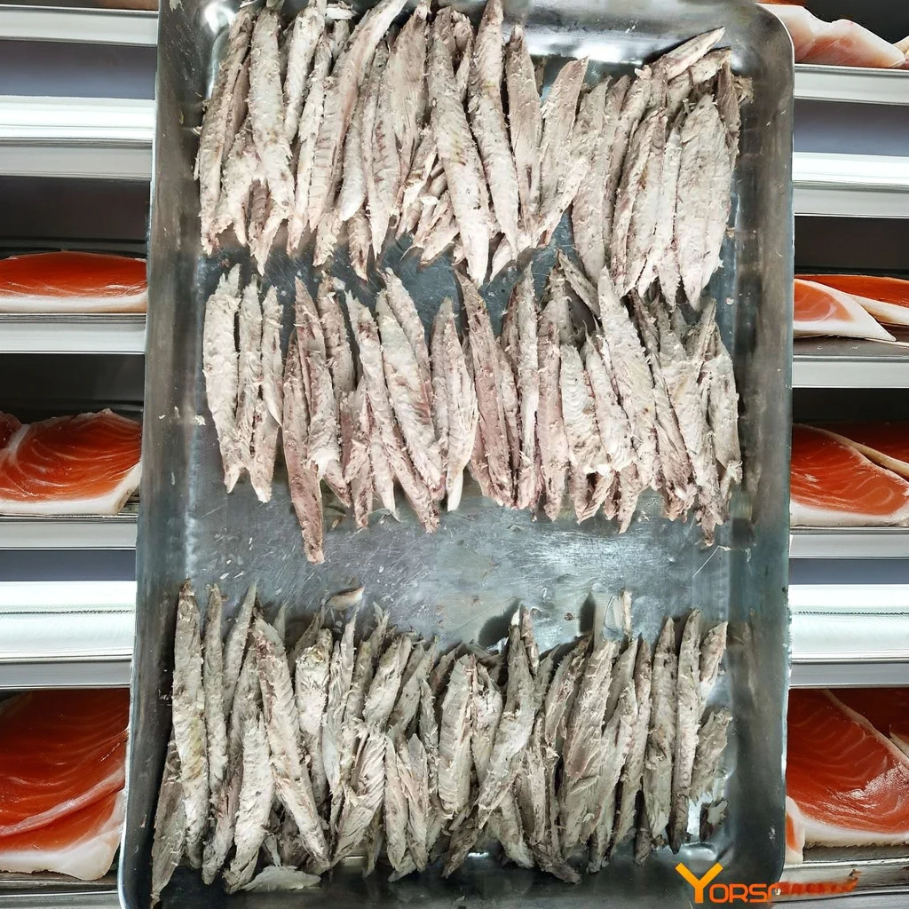 Pure and Natural Bonito Fish Box Packaging Seasonal Fresh Whole Body Frozen Bonito Vietnam Nature Type Freezing Shape Dried