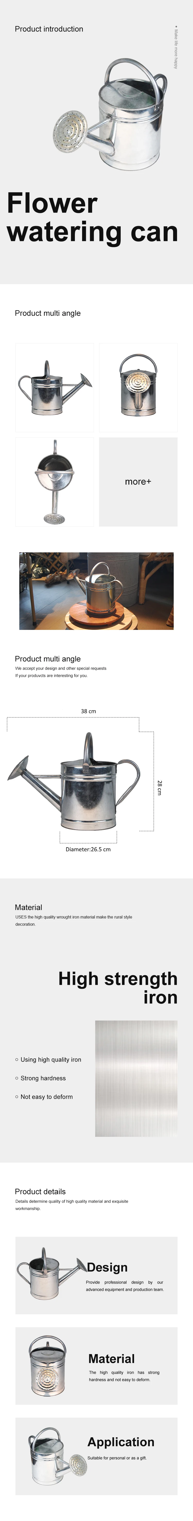 Galvanized Watering Can for Outdoor Plants with Removable Spout, Perfect Metal Watering Can for Indoor Plants and Garden Flower