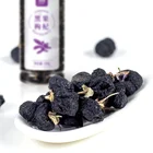 Halal Dried Fruit Natural Eat Directly ZAO AN QING Ningxia Dried Black Gojiberry
