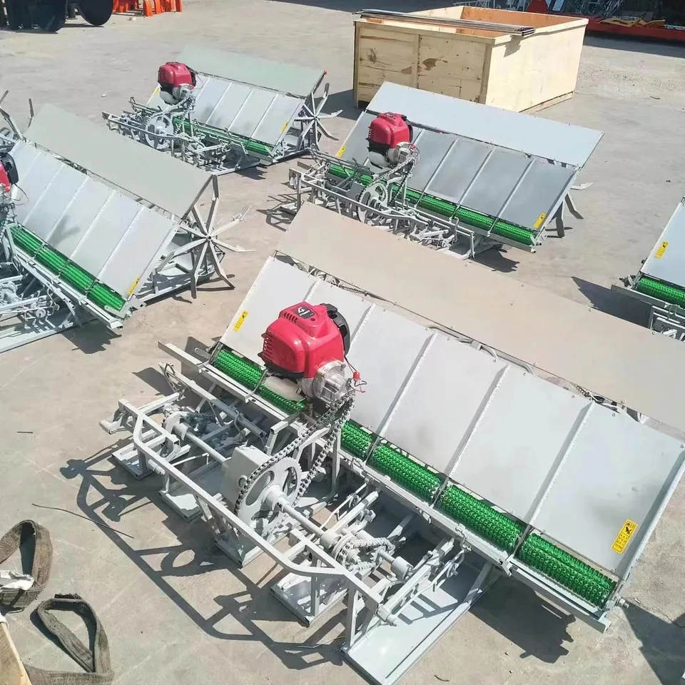 High Quality 6 Row Walking Behind Rice Transplanter /Paddy Planting Machine Rice Transplanter