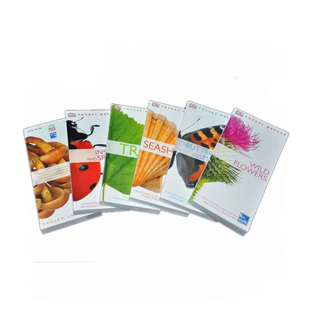 Custom Softcover Brochure Catalogue Coloring Workbook Catalog Magazine Book Printing