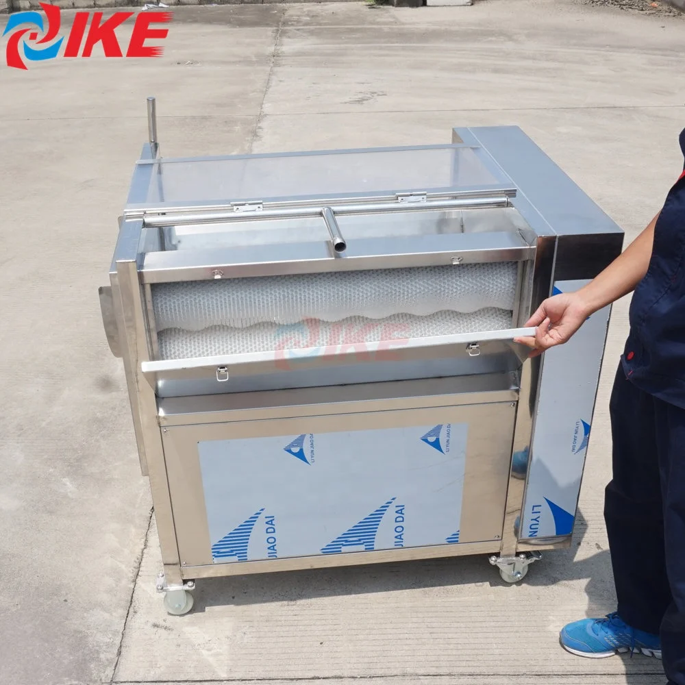 IKE Processing Both Fibrous Roots Ginger Turmeric and Softer Produce Potato Washing Machine