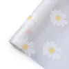 Fleur transparente