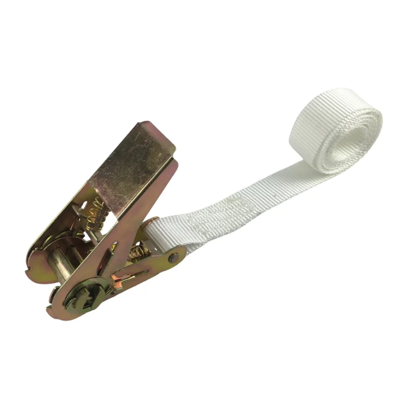 Polyester and Steel Lashing Straps with Cam Buckle 10m Snowboard Binding Ratchet Straps GS Certified