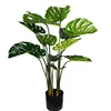 1,2 m monstera deliciosa 12 feuilles
