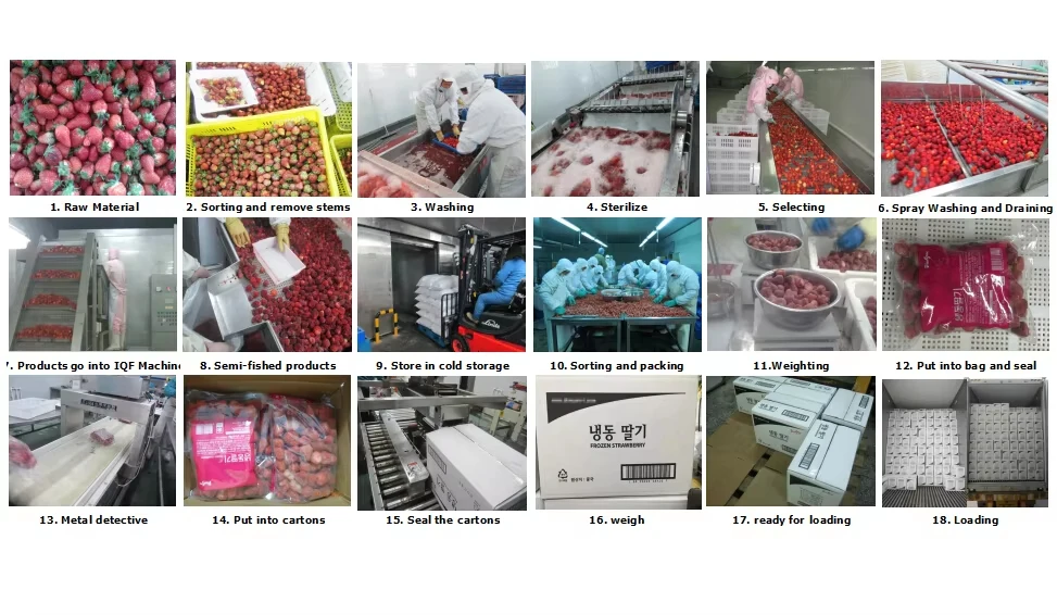 Freeze Dried Blackberry Wholesale | Bulk Blackberry Supplier Ha6951909e75b4a7e9a1f1809d0889d5f4