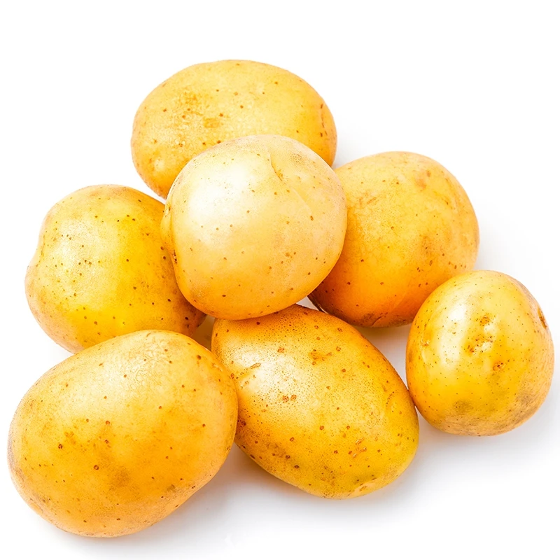 Сладкий свежий покупатель семена картофеля пакеты картофель