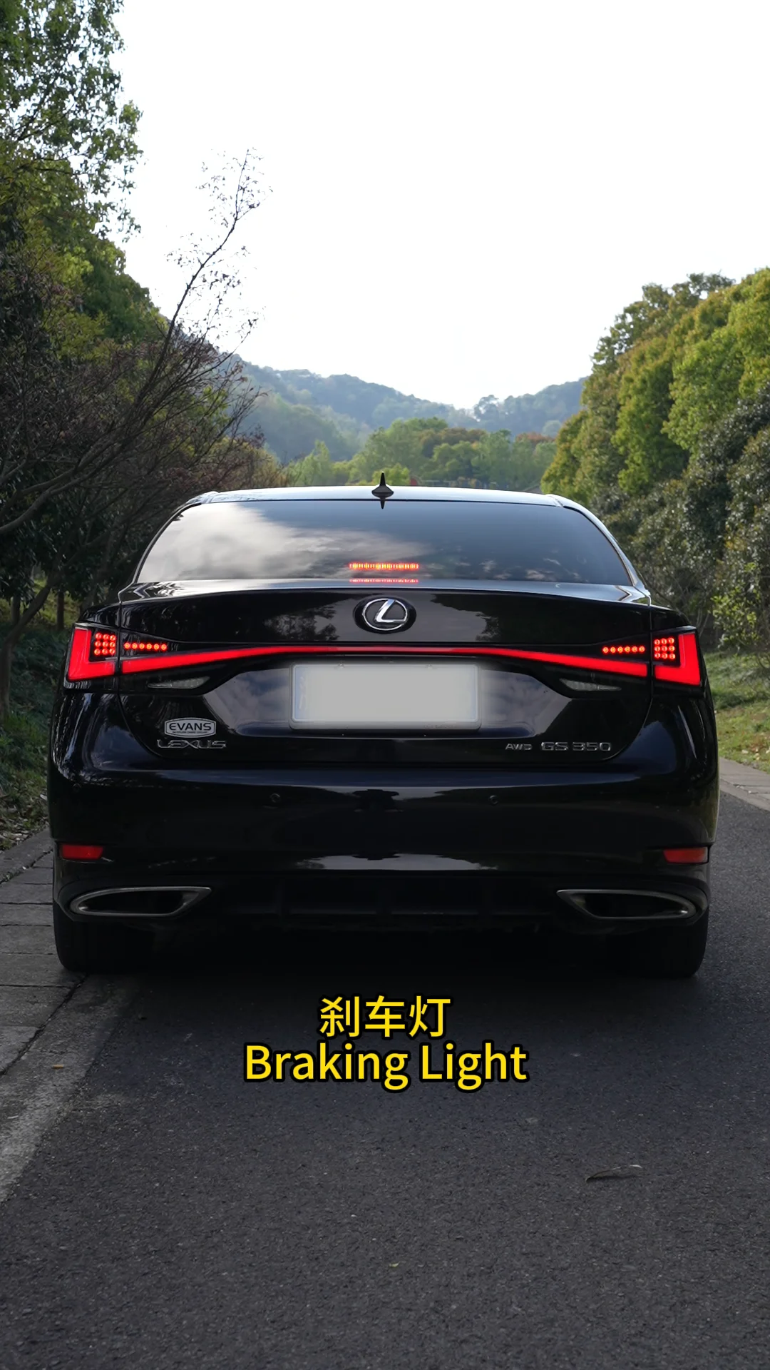 Zhengwo Modified Led Tail Lamp For Lexus Gs Rear Lamps Start Up Animation Modified