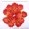 20 foglie di acero rosso (12 pezzi per confezione, lunghezza 2 m)