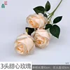 3 Rosas Sweetheart WY Champagne