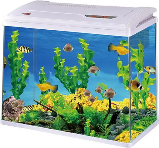 Mini Magical Square Coffee Table Aquarium Tank Eco-Friendly Fish Glass Design