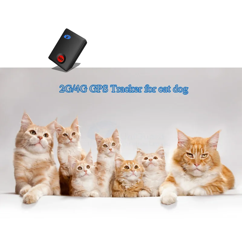 Collar Rastreador Para Gatos Con SmartTag - Compatible Con IOS (Find My), Sin Suscripción, Reflectante