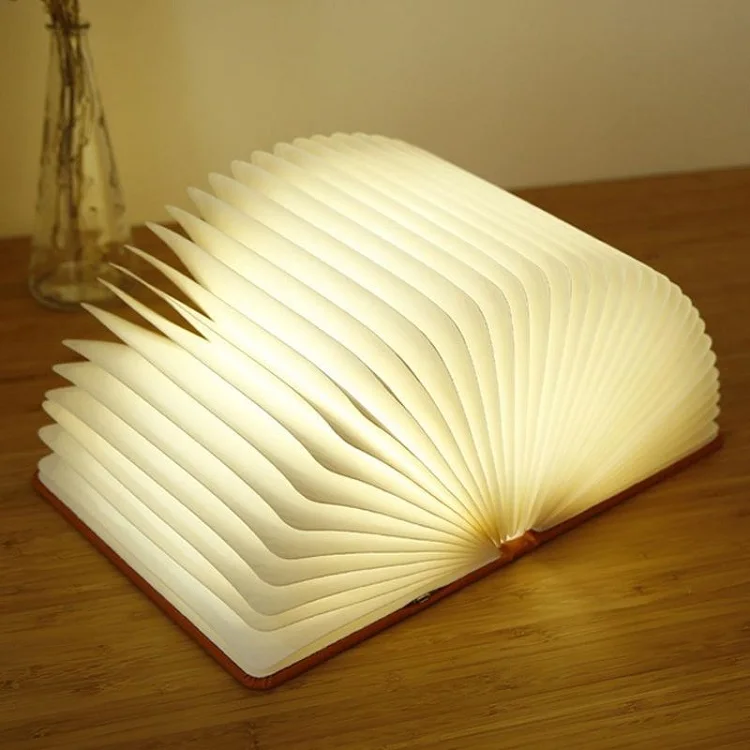 led book light-12.jpg