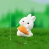 colorful Carry the radish on the 10th