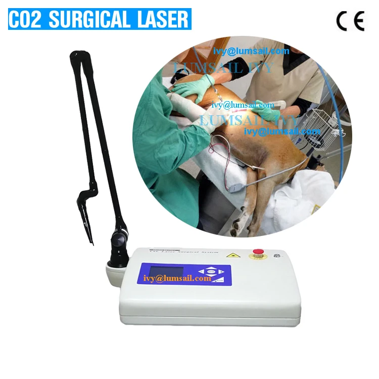 Laser Co2 15W For Veterinaria use Portable Veterinary Surgical CO2 Laser Cutting System Surgery CO2 Laser Machine