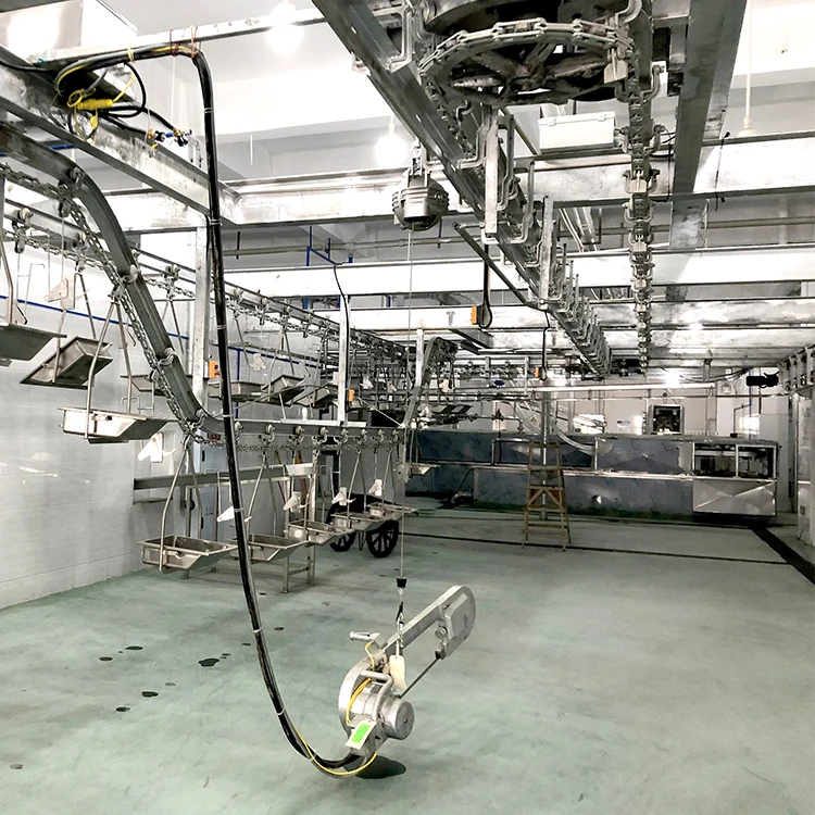 Large cattle slaughterhouse beef processing plant