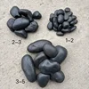 pepito negro