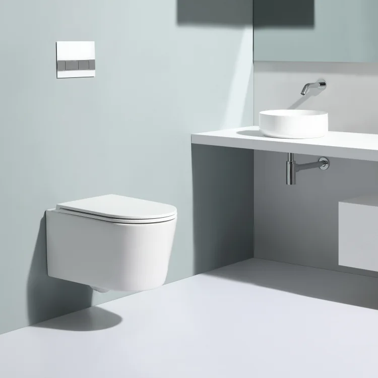 water-efficient ceramic toilet