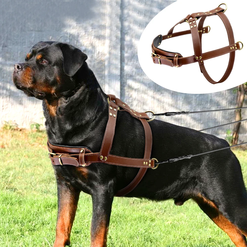 Buy Wholesale China Carex Dark Brown Full Grain Leather Dog Harness Luxury  Brass Buckle With Genuine Leather Handmade & Genuine Leather Dog Harness at  USD 110