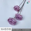 3-headed bract rose YB 16 purple