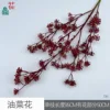 Flor de colza CM Rojo