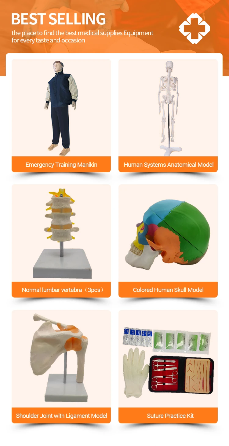 Pro-hy Episiotomy Suturing Pad,Perineal Incision Suture Practice Model ...