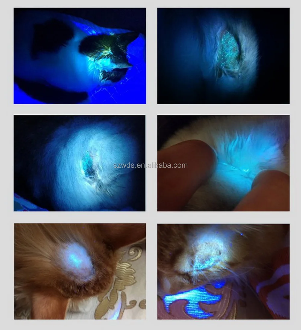 UV Wood's Lamp USB Rechargeable UV Flashlight Pet Skin Ringworm Fungal Diagnosis Skin Analyzer