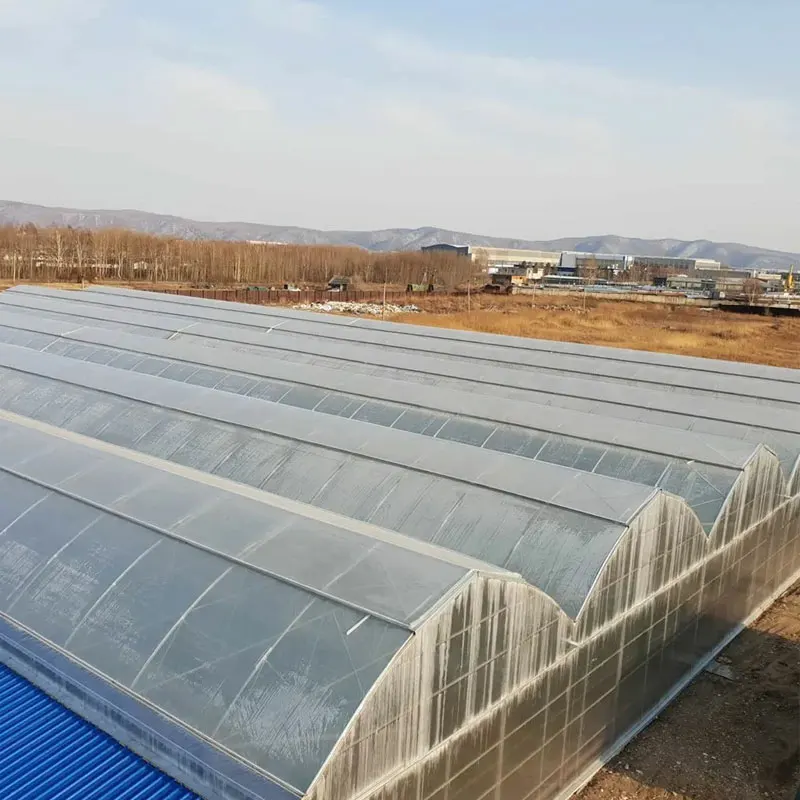 Vegetable Agricultural Green House Cover PE Poly Tunnel 200 Micron Uv Resistant Plastic Film Greenhouse