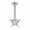 Stella stellare d'argento