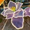 Bande lumineuse iris 90CM (tête de fleur)