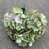 17 #5 tête main arc-en-ciel hortensia vert clair