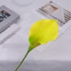 No13-branch and stem flower head sub-development
