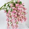 Campanula Rosa
