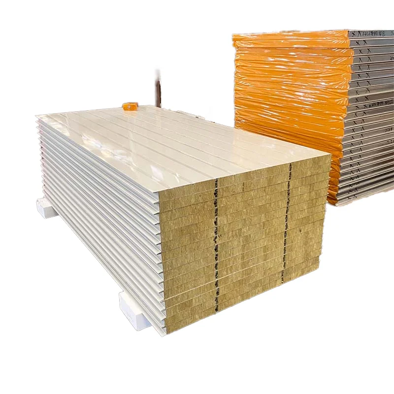 Industrial custom walk-in refrigerators and freezers for food processing and logistics storage