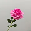 Rosa intenso