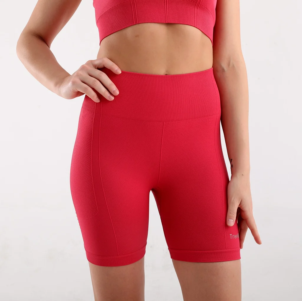 Women Fitness Biker Shorts Ribbed Seamless High Waist Yoga Shorts