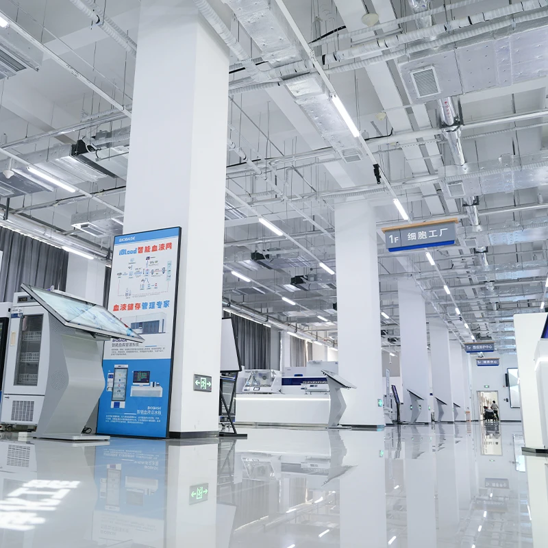 Biobase China Laboratory Forced Air Circulation Drying Oven Heating Dry Oven Price