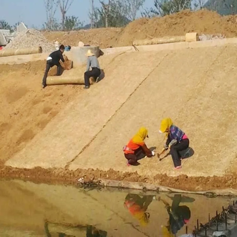 Coir Mesh Coir Matting Erosion Control Coconut Erosion Control Blanket